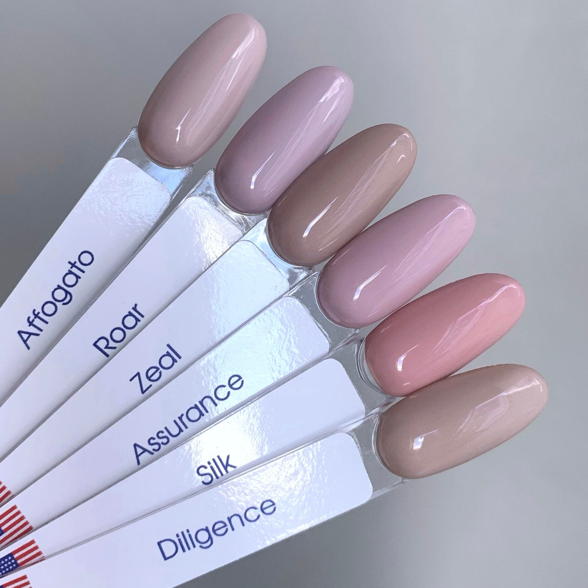 Color Gel Zeal 15ml – nailcarediplacido