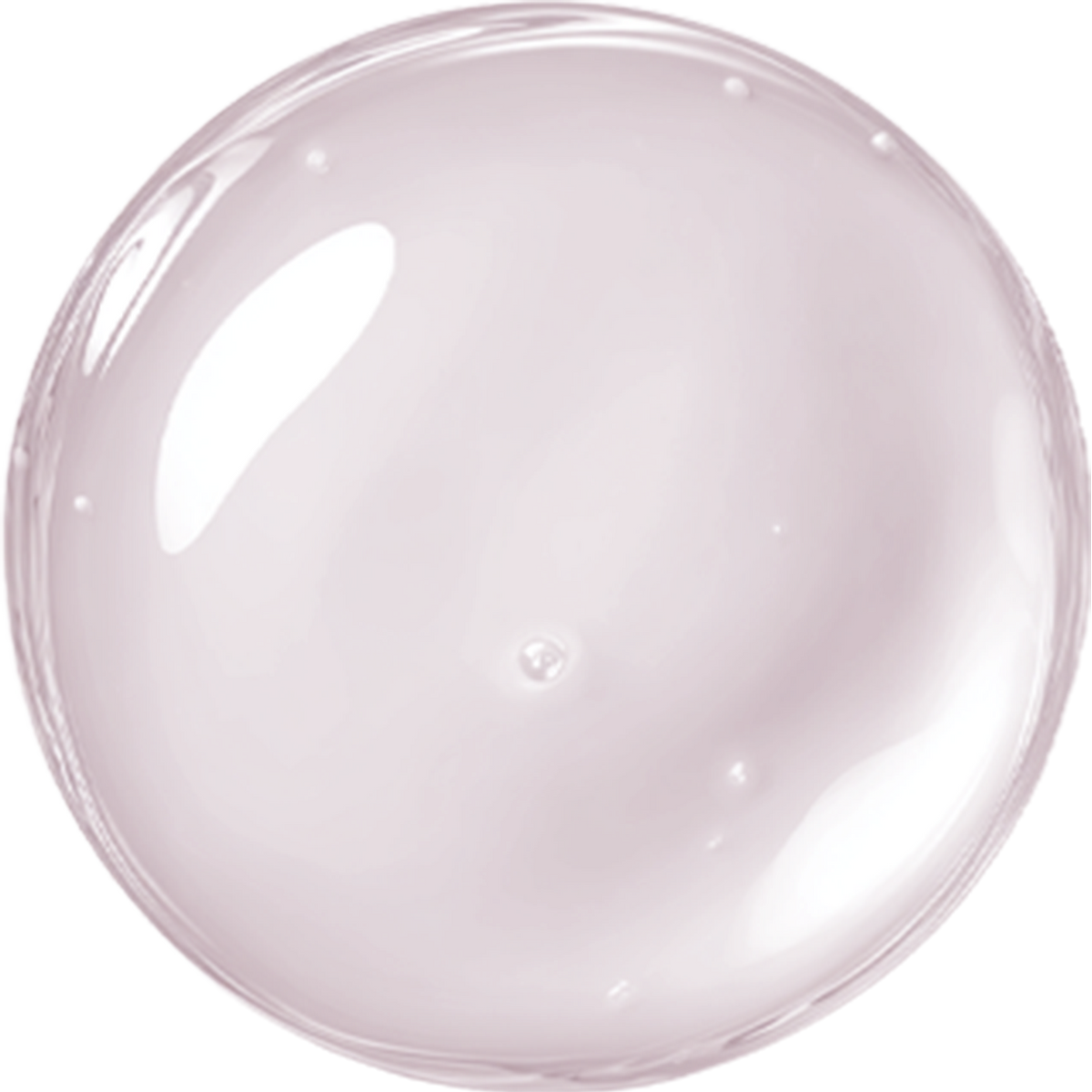 Absolute Base N7