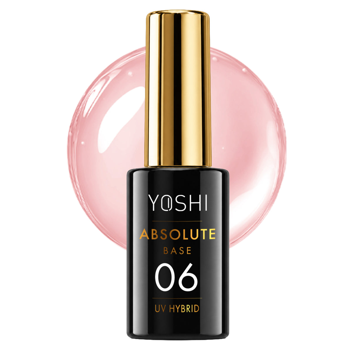 Absolute Base N6