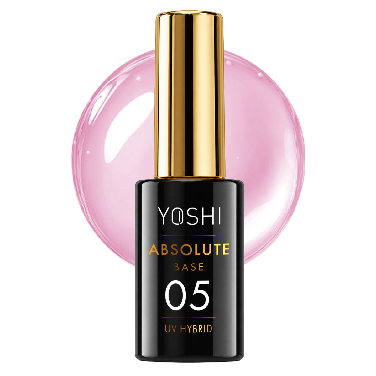 Absolute Base N5