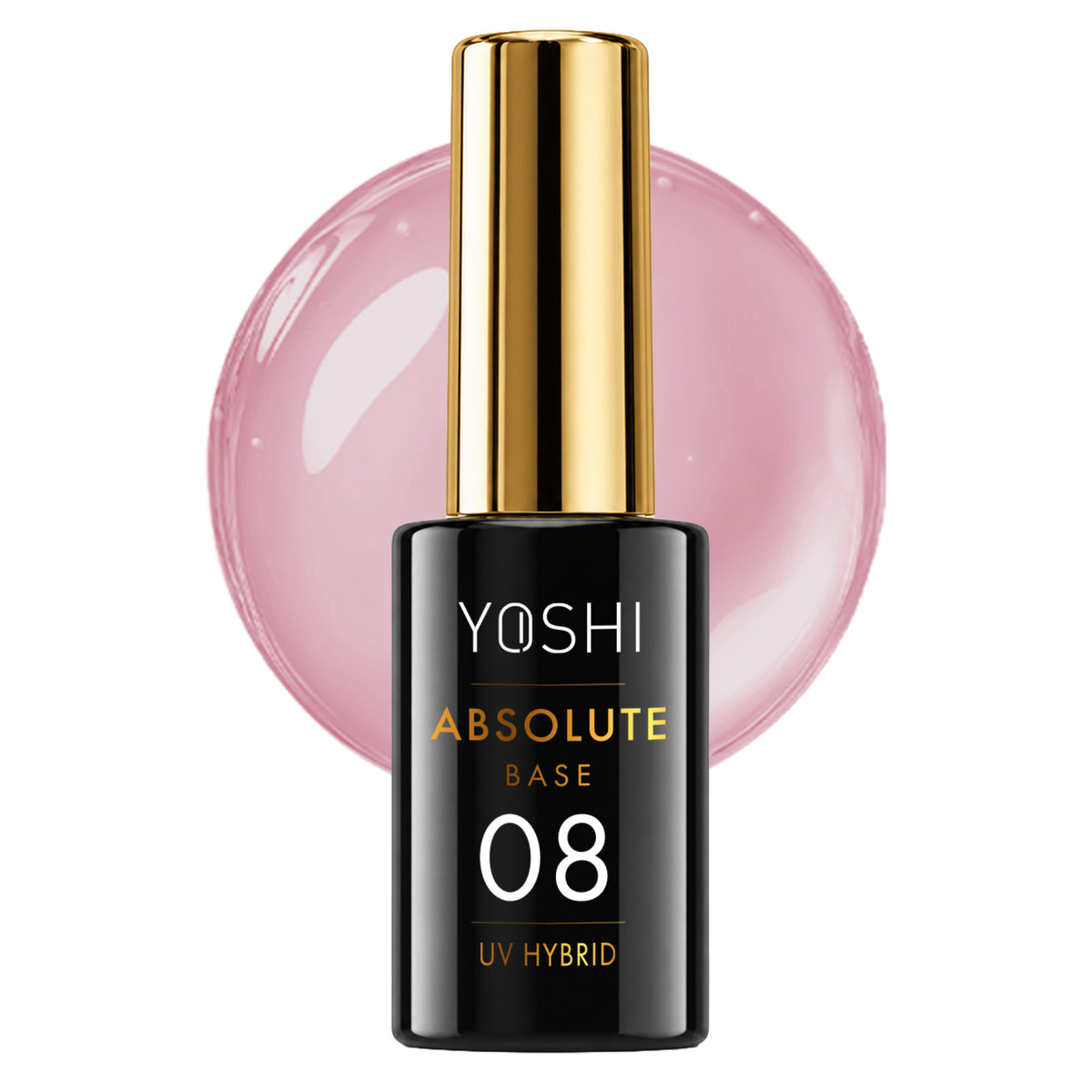 Absolute Base N8