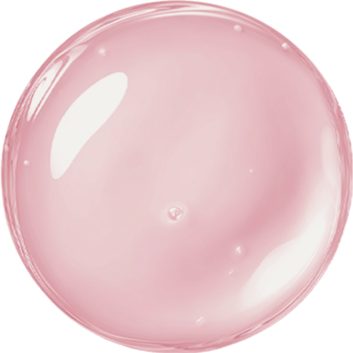 Absolute Base N8