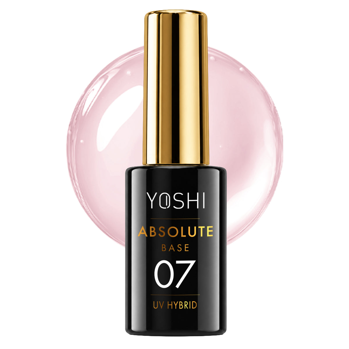 Absolute Base N7